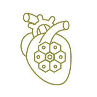 Corazón de Peyote